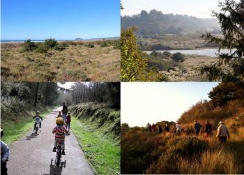 A collage of photos of the Little River Area